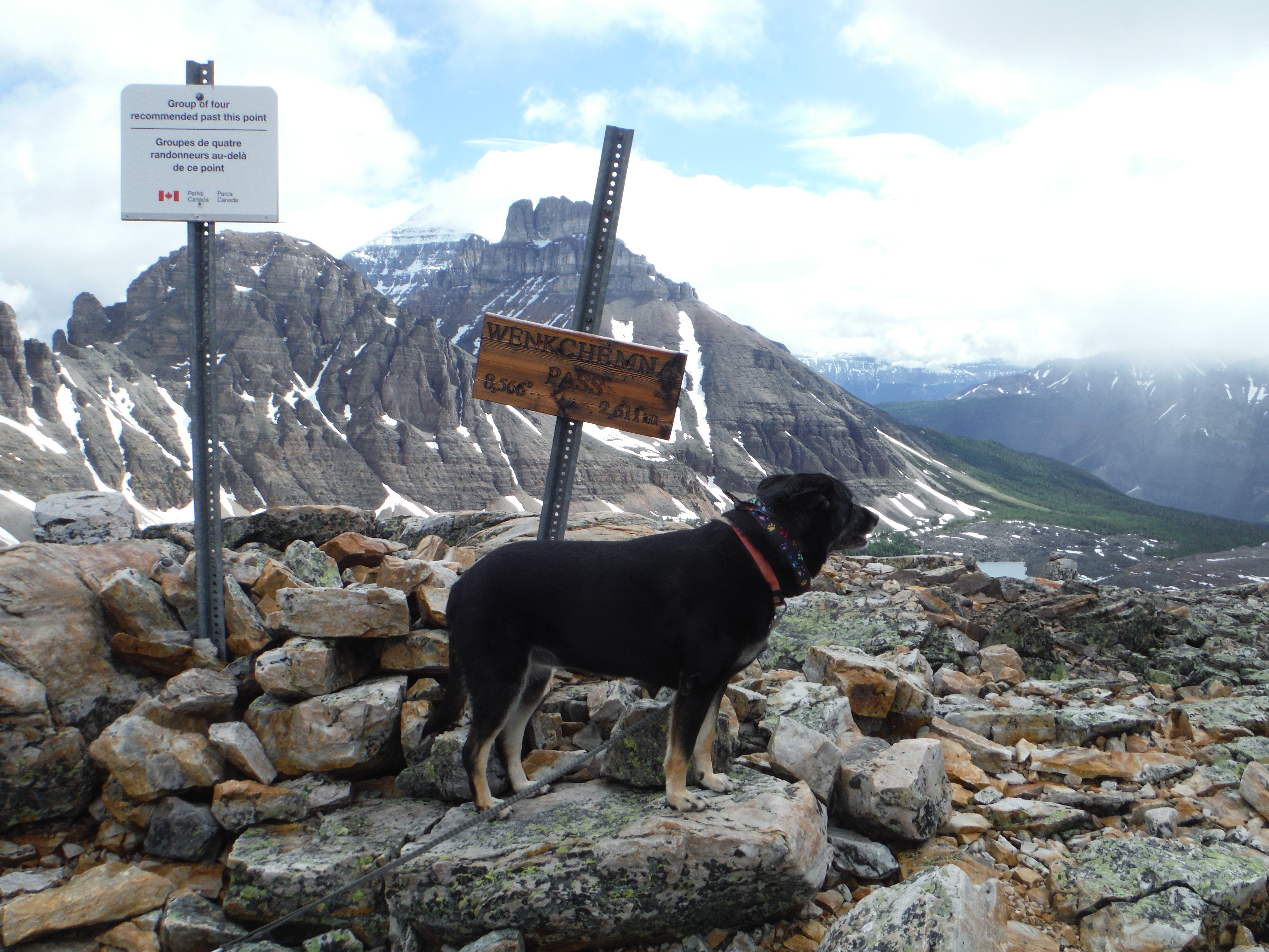 Kona Wenkchemna Pass Eiffel Peak Wastach Peak Mt. Temple Eiffel Lake Valley of The Ten Peaks