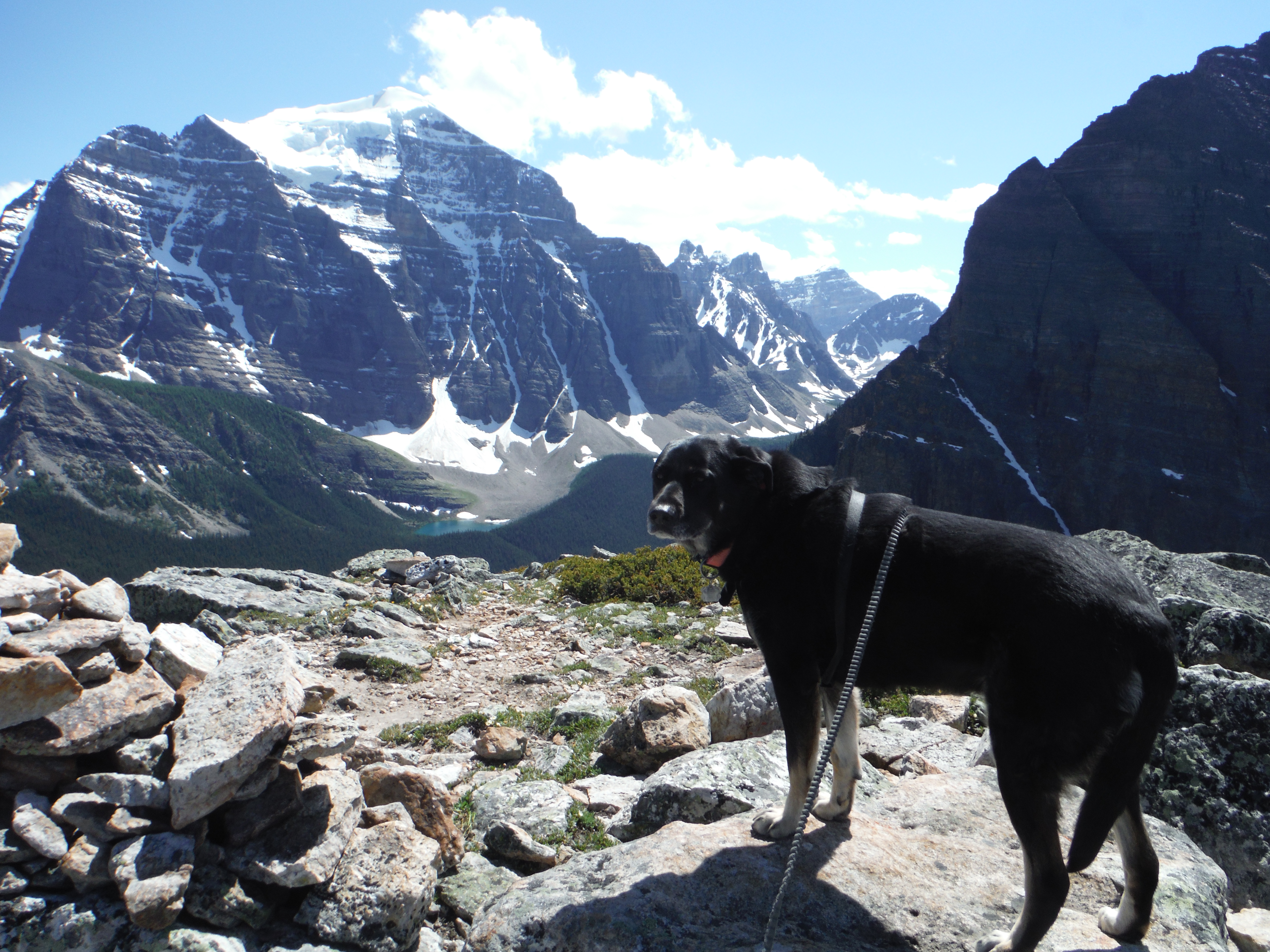 Kona Saddle Mtn. Paradise Valley Lake Annette Mt. Temple Pinnacle Mtn. Eiffel Peak Wastach Peak Neptuak Mtn. Sheol Mtn.