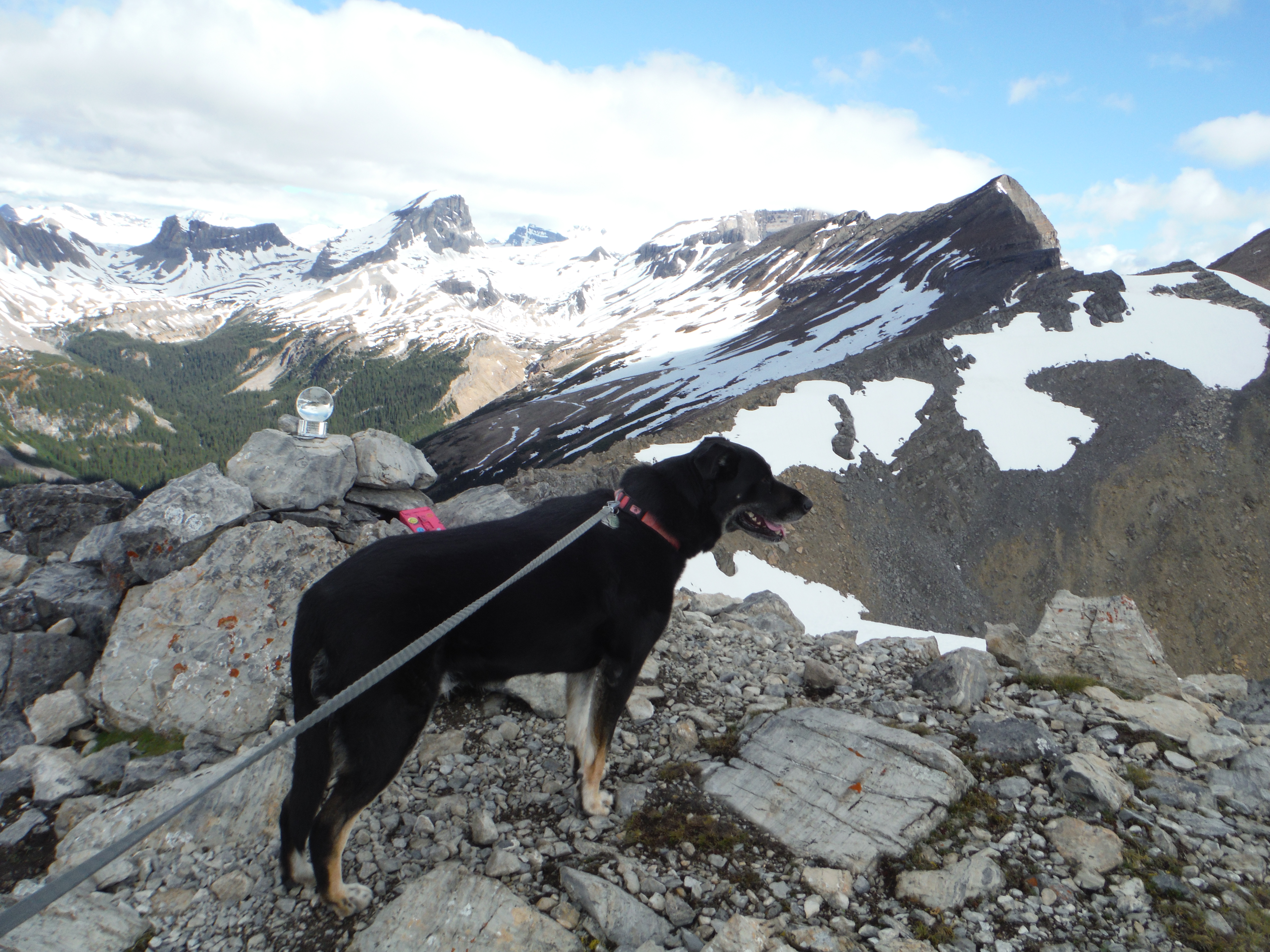 Kona Paget Peak Mt. Niles Mt. Daly