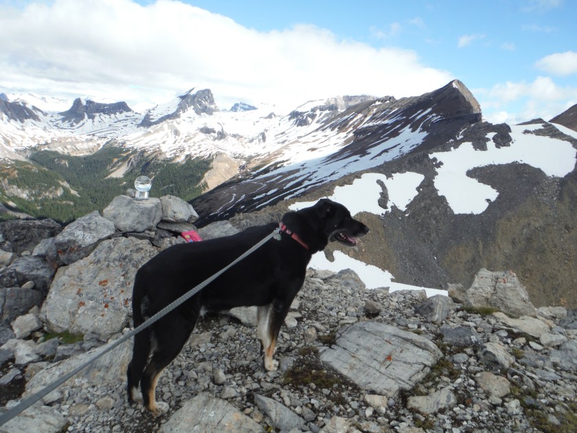 Kona Paget Peak Mt. Niles Mt. Daly