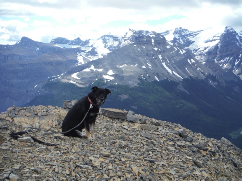 Kona Paget Peak Narao Peak Lake O'Hara Yoho National Park