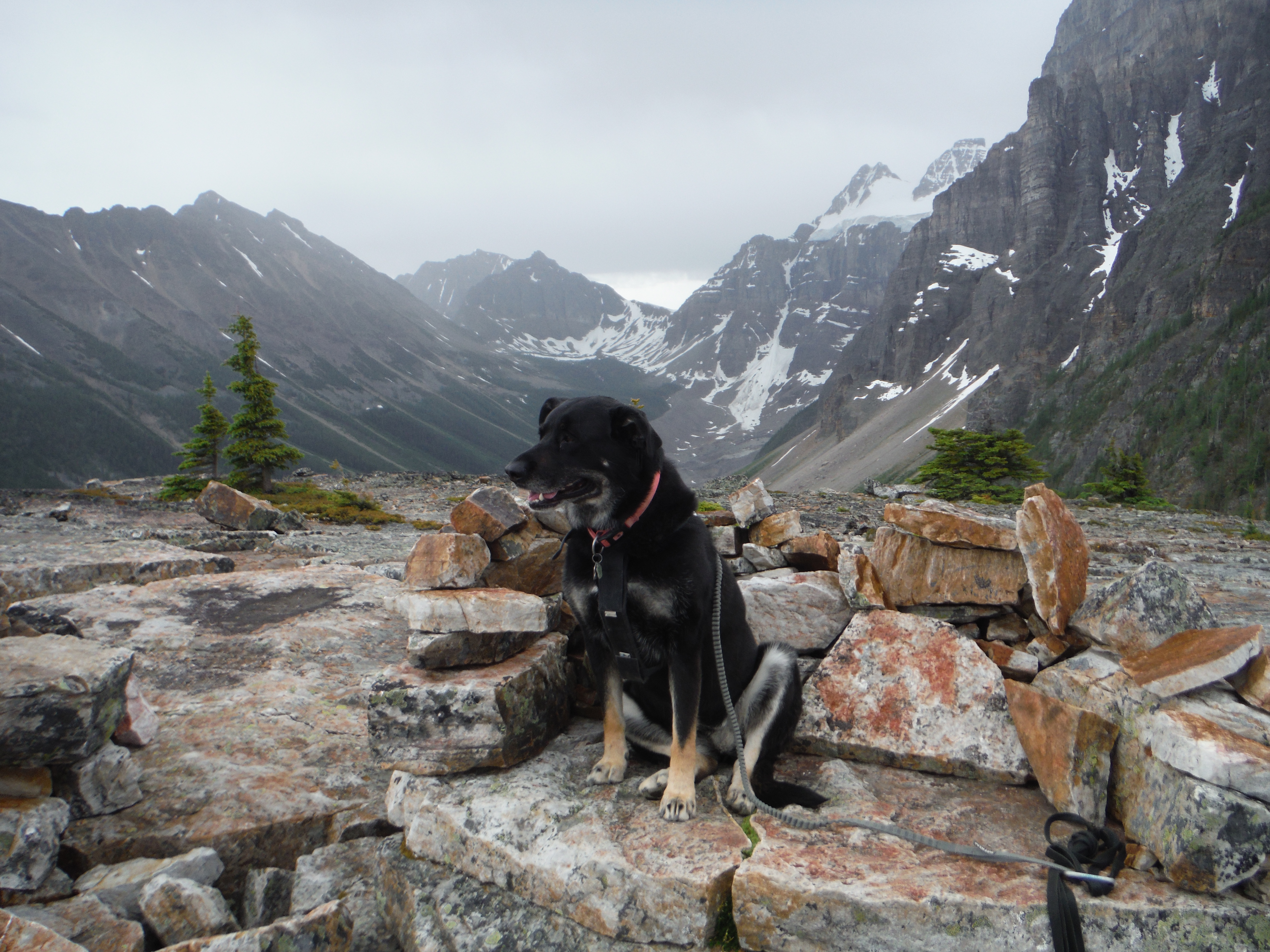 Kona Tower of Babel Consolation Valley Bident Mtn. Mt. Quadra Mt. Bell Panorama Ridge