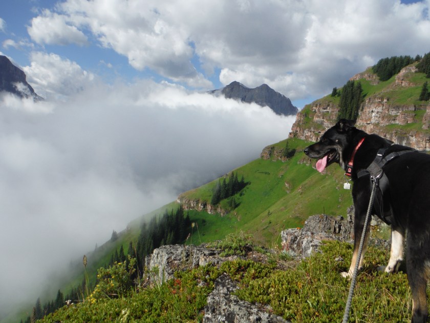 Kona Wind Ridge Rimwall Summit Mt. Lougheed Kananaskis