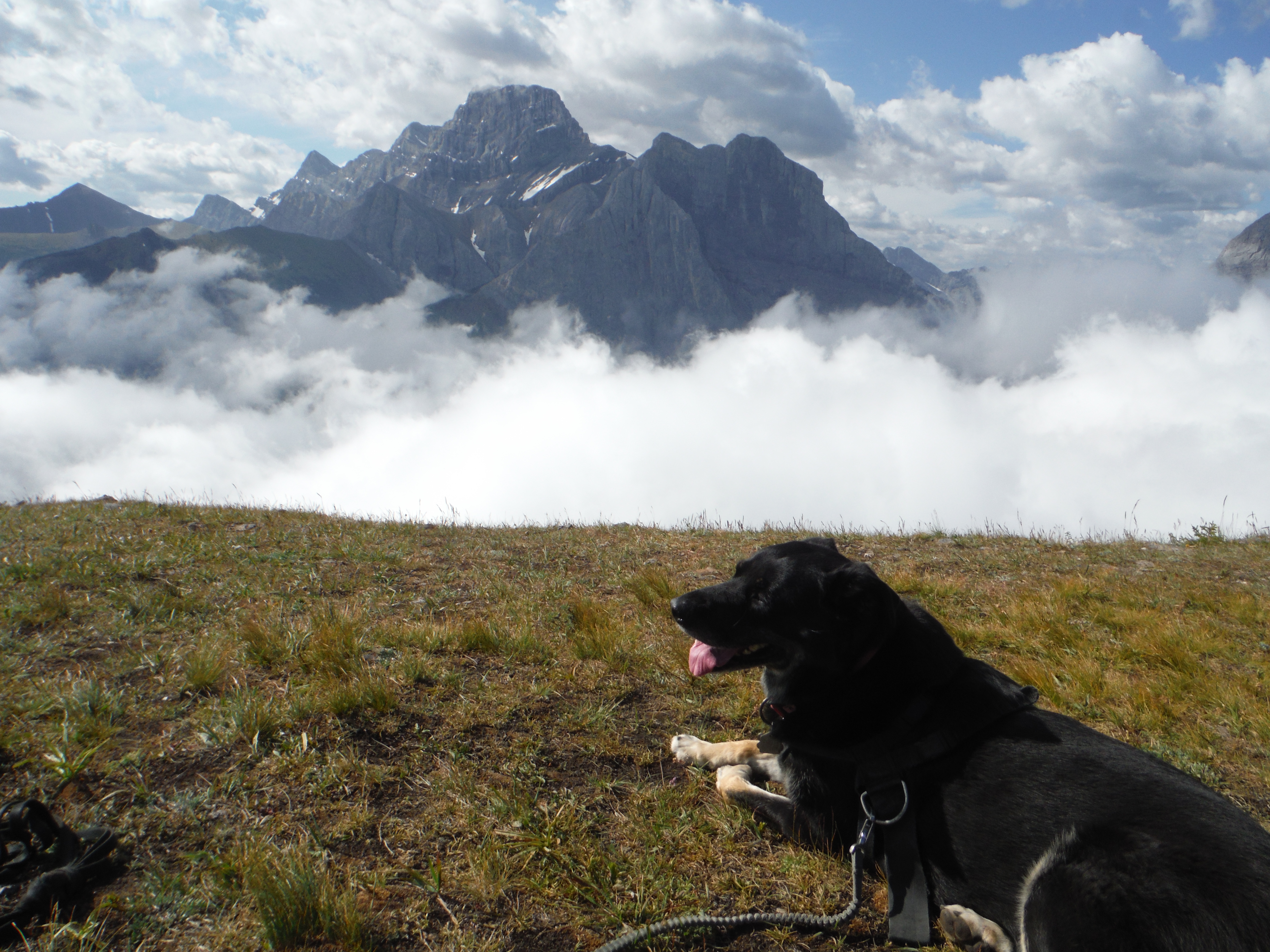 Kona Wind Ridge Mt. Lougheed Wind Tower West Wind Creek