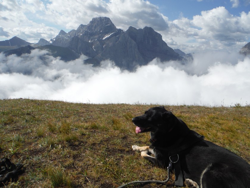 Kona Wind Ridge Mt. Lougheed Wind Tower West Wind Creek