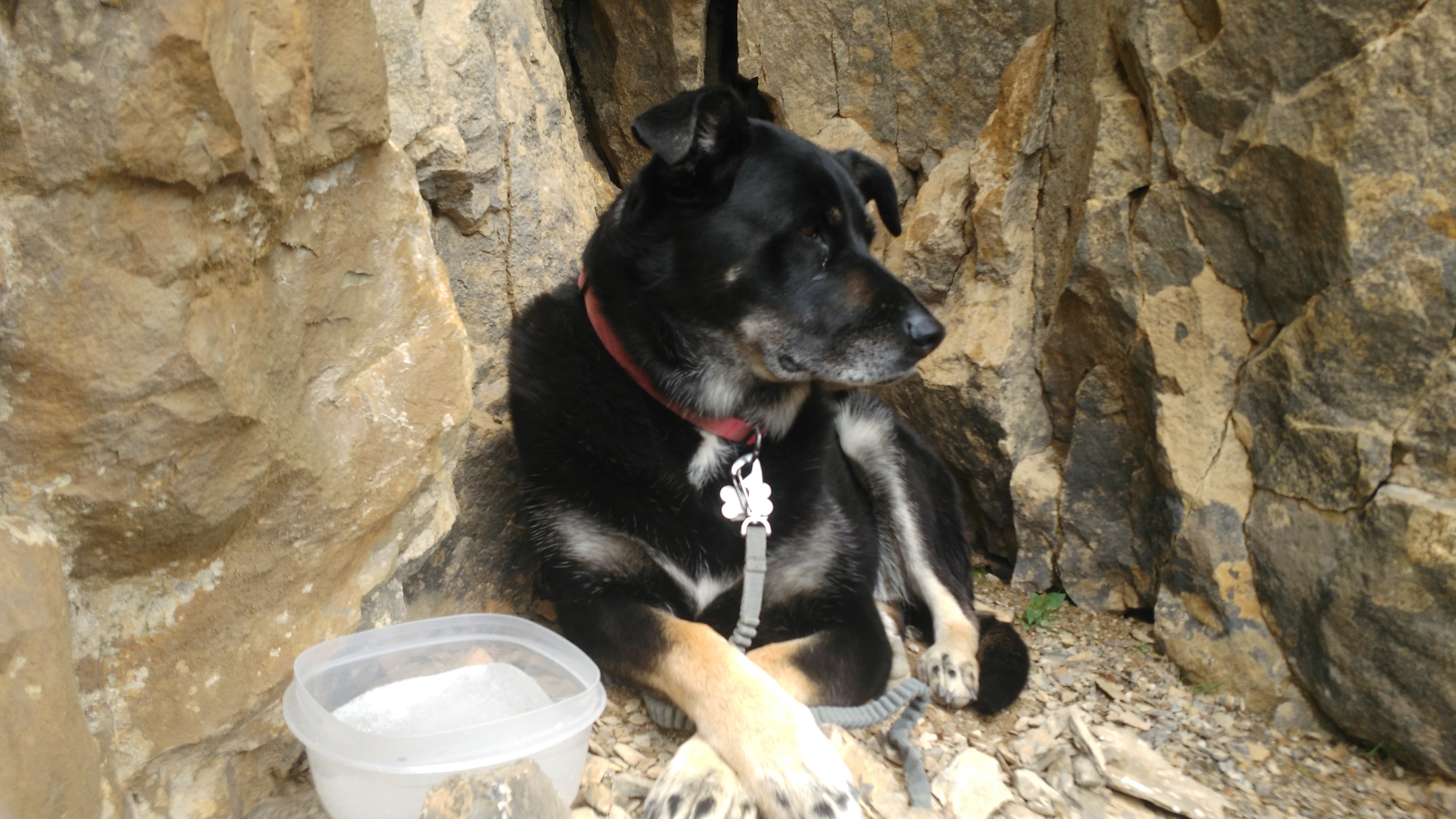 Kona Paget Peak Lookout