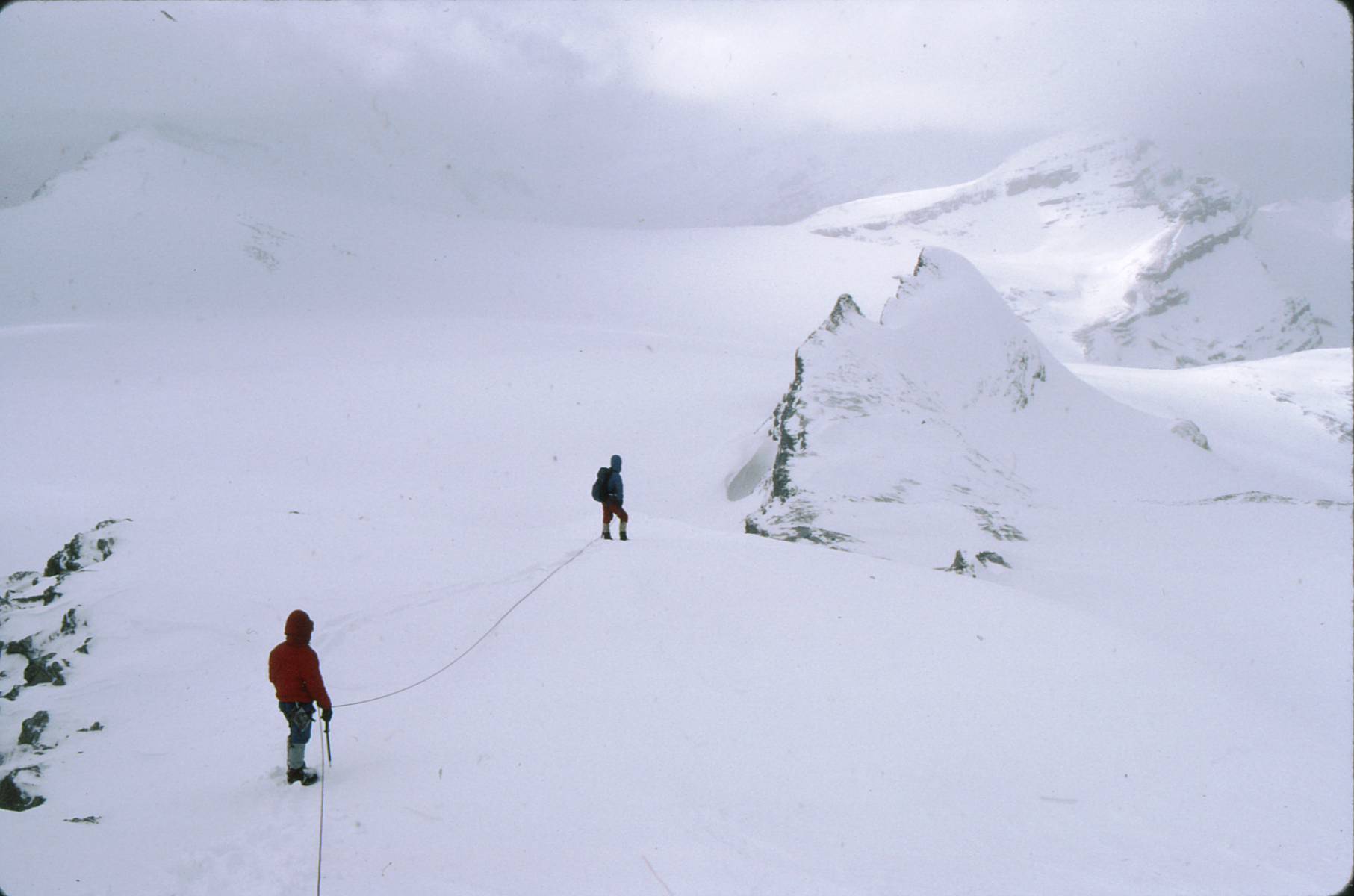 Mt. Olive St. Nicholas Peak Wapta Icefield Mt. Thompson Portal Peak The Onion