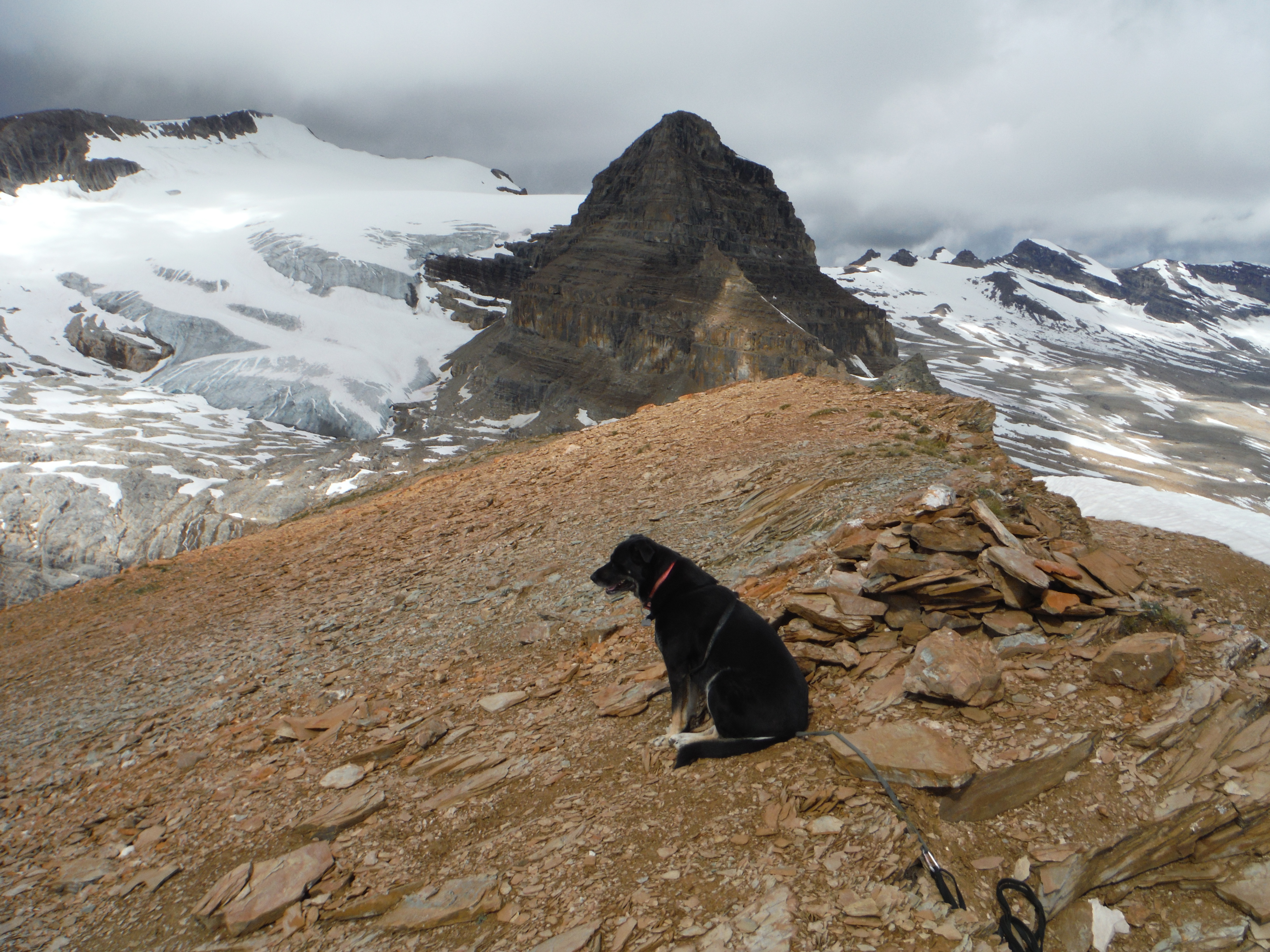 Kona Whaleback Mtn. Isolated Peak Mt. McArthur Little Yoho Valley Yoho National Park