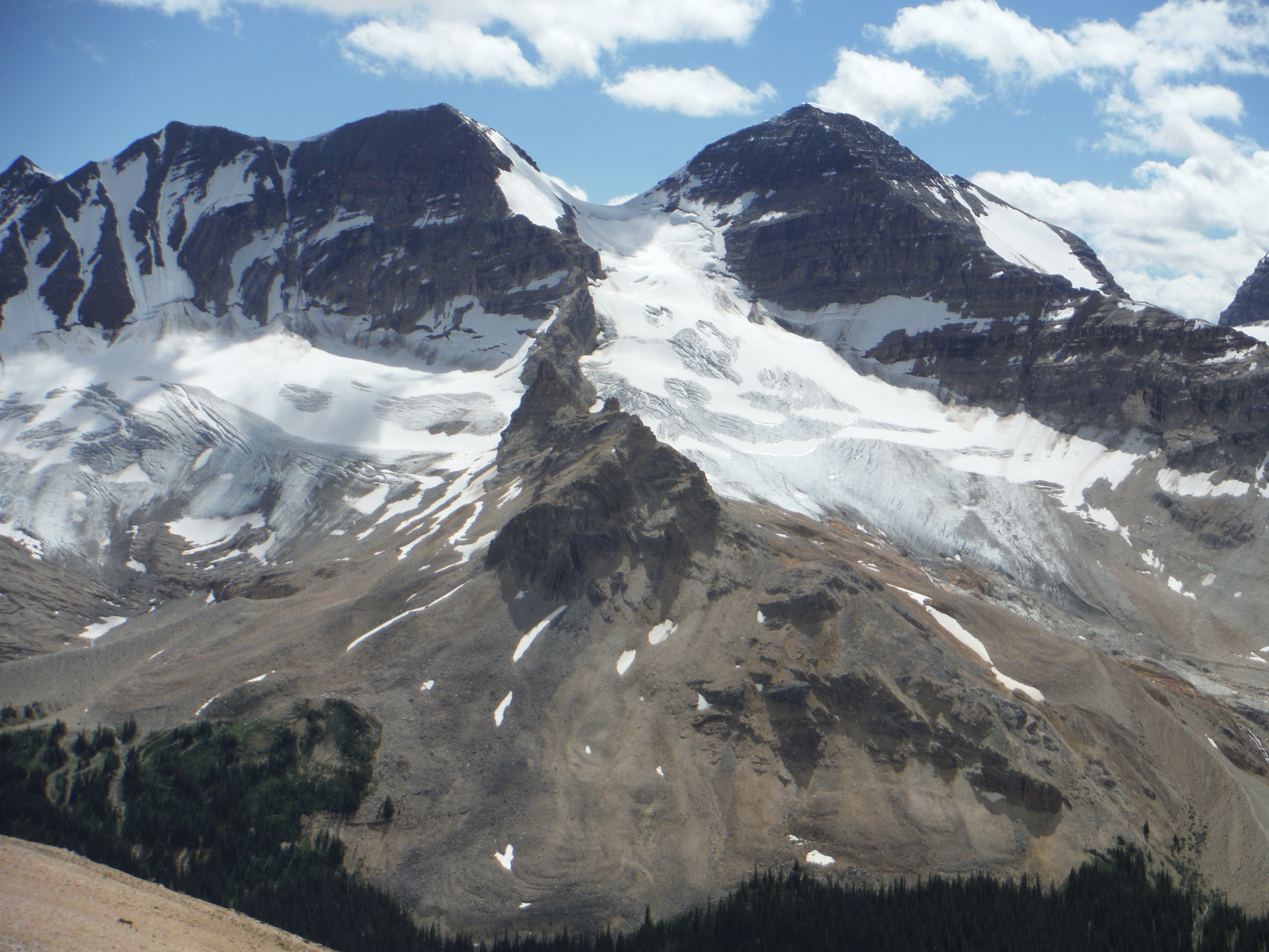 The Vice President The President The Secretary-Treasurer Little Yoho Valley Yoho National Park Whaleback Mtn.