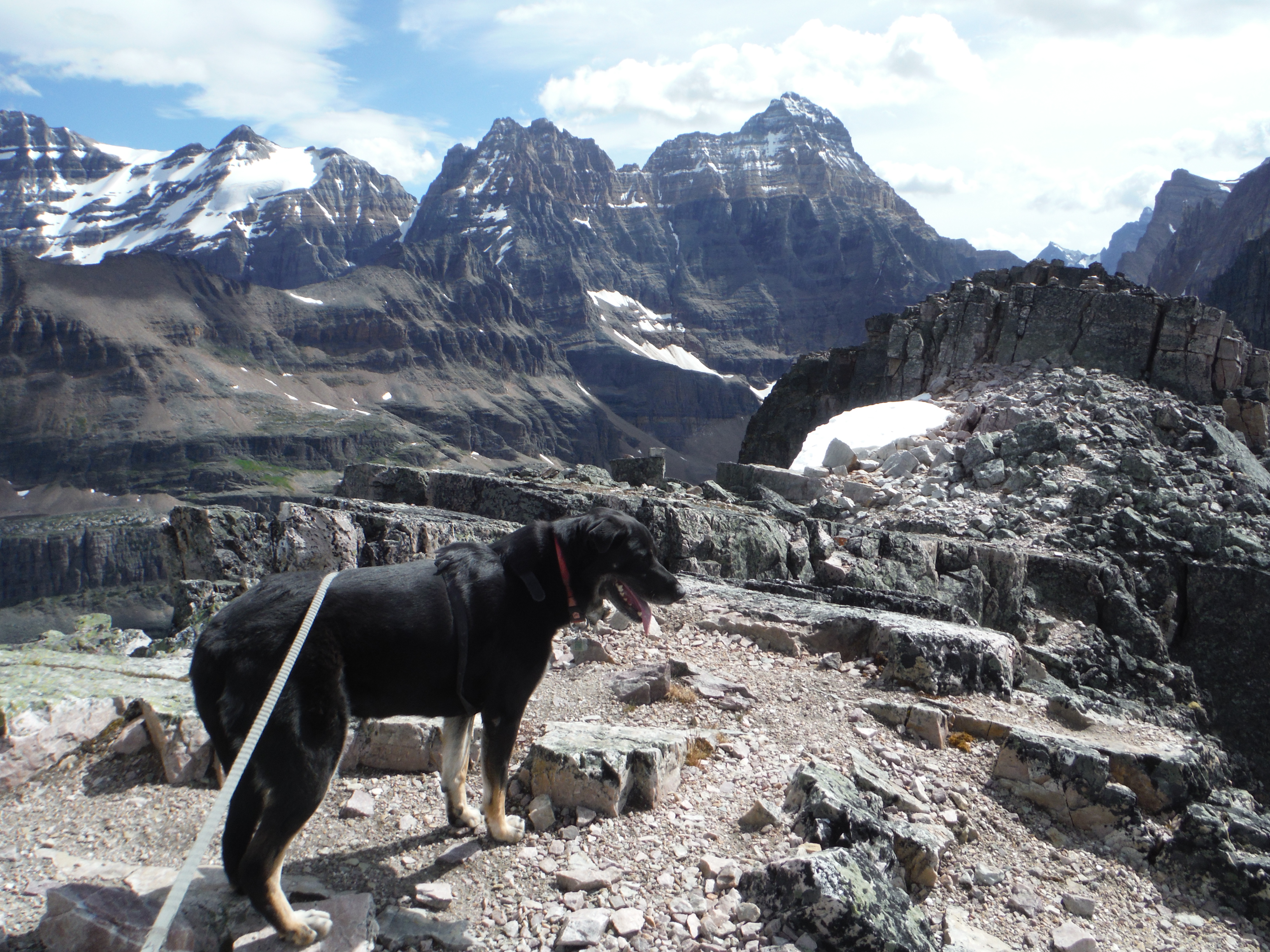 Kona Mt. Schaffer Mt. Hungabee Glacier Peak Mt. Ringrose Mt Lefroy Yukness Mtn. Lake O'Hara Yoho National Park