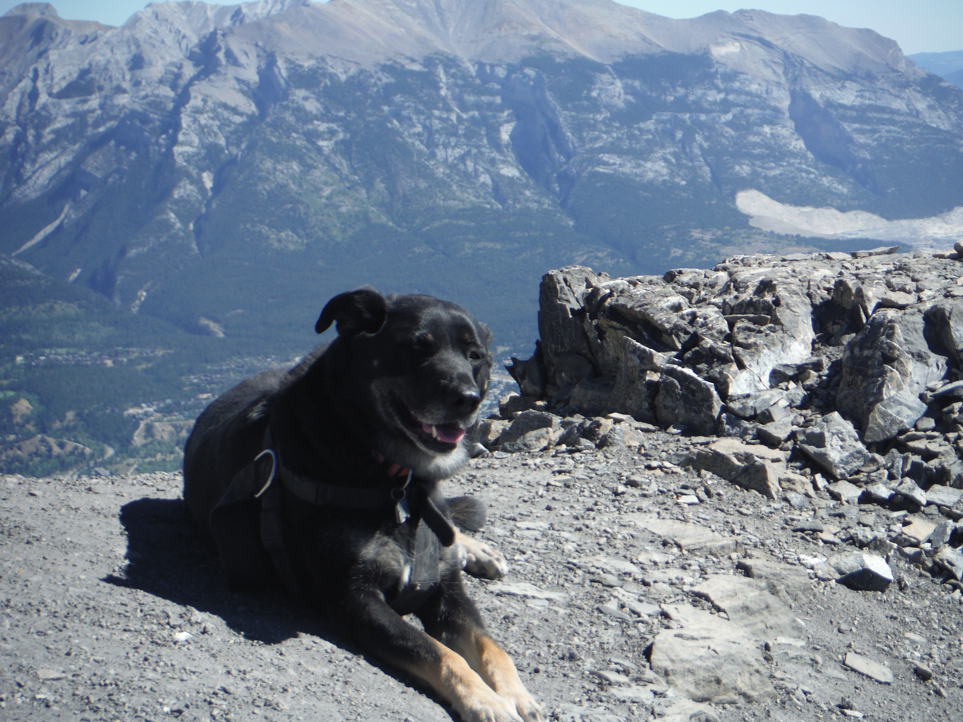 Kona East End of Mt. Rundle EEOR Bow Valley